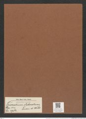 Triceratium elaboratum Truan et Witt. (de-Toni-Nr.: Genus 140, Species 3982) Zeichnungen Sammlung Grunow Mappe 03980 (Herbarium_W_Grunow_drawings_Folder_03980)